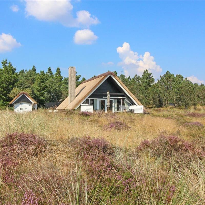 Ferienhaus - 4 Personen -  - Møllehusvej - 6857 - Blavand