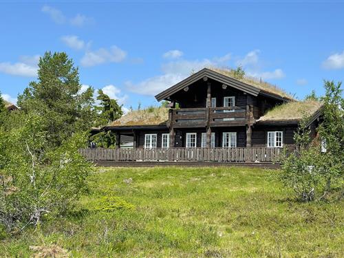 Sommerhus - 8 personer -  - Huvtjønnleiken - Kyrkjebygdheiea/Nissedal - 3854 - Nissedal