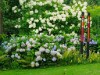 Billede 11