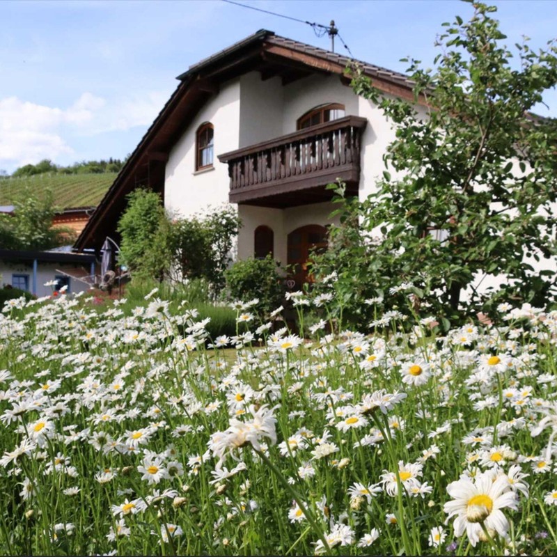 Ferielejlighed - 4 personer -  - Burg-Layer-Straße - 55452 - Rümmelsheim-Burg Layen