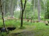 Bild 24