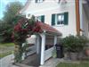 Bilde 4