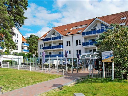 Ferienhaus - 4 Personen -  - Ostseebad Lubmin - 17509