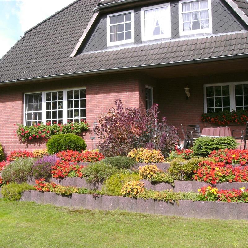 Ferielejlighed - 3 personer -  - Hützeler Damm - 29646 - Bispingen