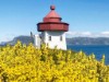 Bild 30