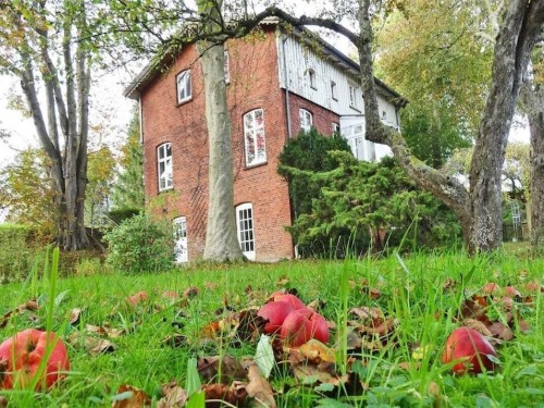 Feriehus - 2 personer -  - 24376 - Kappeln
