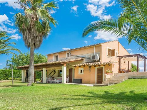 Villa - 8 personer -  - 07400 - Alcudia, Illes Balears