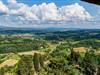 Bild 98