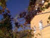 Bilde 58