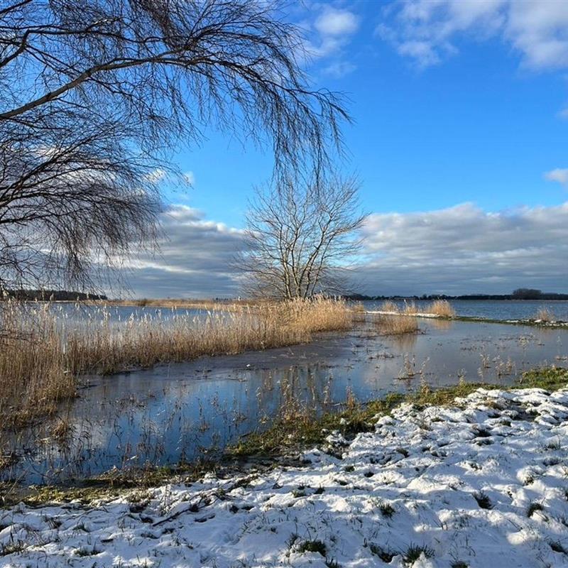 Sommerhus - 4 personer -  - Dorfstraße - 18356 - Fuhlendorf