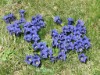 Bild 62 - Ude
