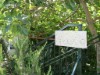 Bild 8 - Ude