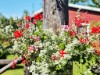 Bild 2 - Ude
