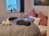 Bilde 21 - Inne
