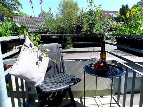 Ferieleilighet - 2 personer -  - Glücksburg - 24960