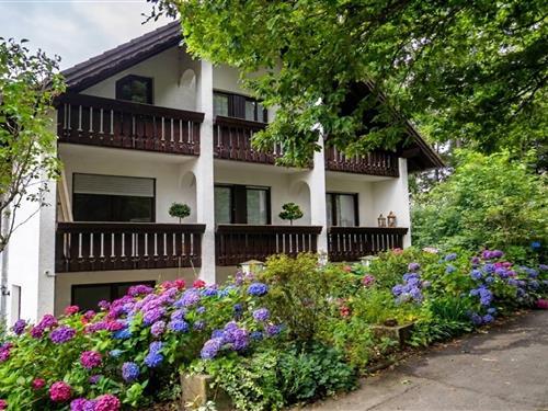 Holiday apartment - 4 persons -  - 56593 - Obersteinebach