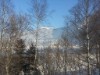 Billede 24 - Ude