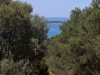 Bilde 29
