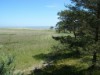 Bild 36 - Ude