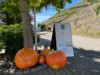 Bild 17