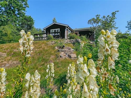 Holiday home - 4 persons -  - Resteröd Anebo - Resteröd/Ljungskile - 459 94 - Ljungskile