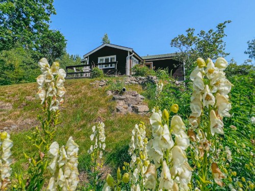 Sommerhus - 4 personer -  - Resteröd Anebo - Resteröd/Ljungskile - 459 94 - Ljungskile