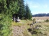 Bild 16
