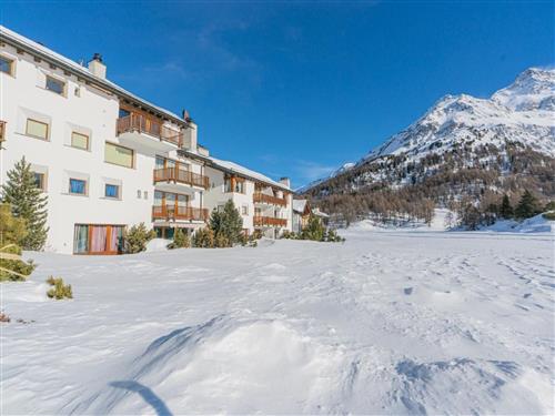 Ferielejlighed - 4 personer -  - Maloja - 7516