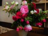 Bilde 25