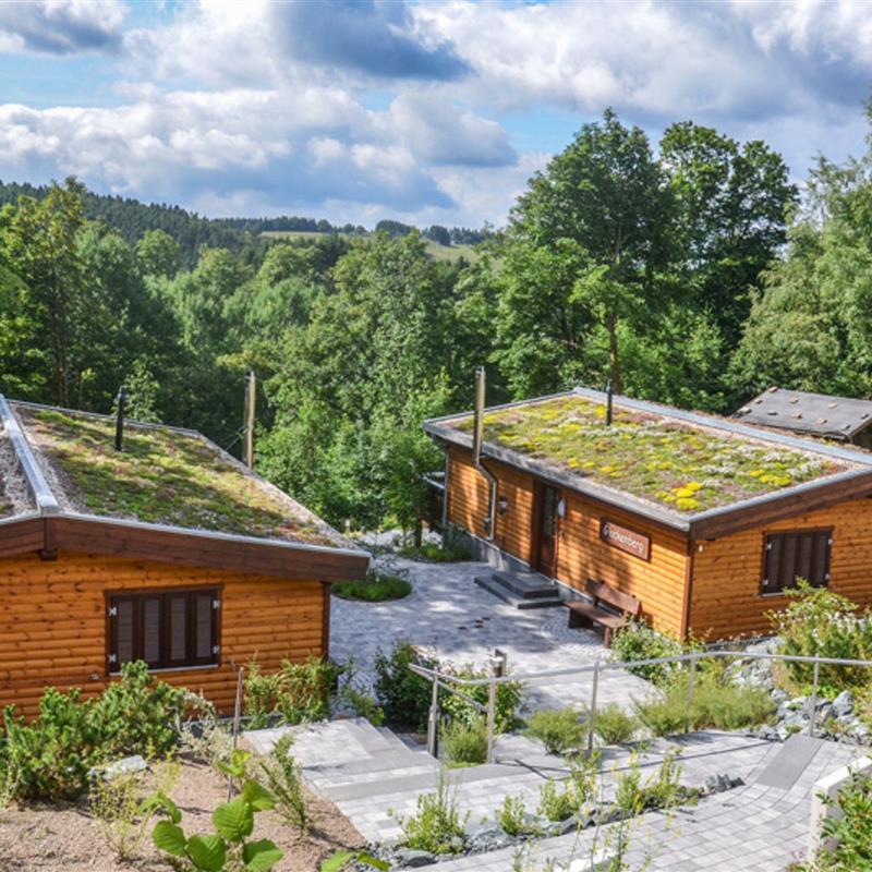 Sommerhus - 4 personer -  - Braunlager Straße - 37444 - Sankt Andreasberg