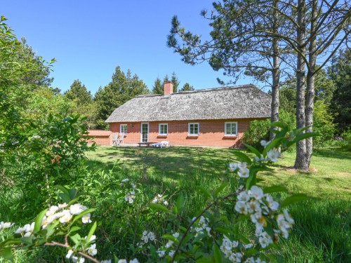 Sommerhus - 6 personer -  - Vester Mosevej - Vester Husby - 6990 - Ulfborg