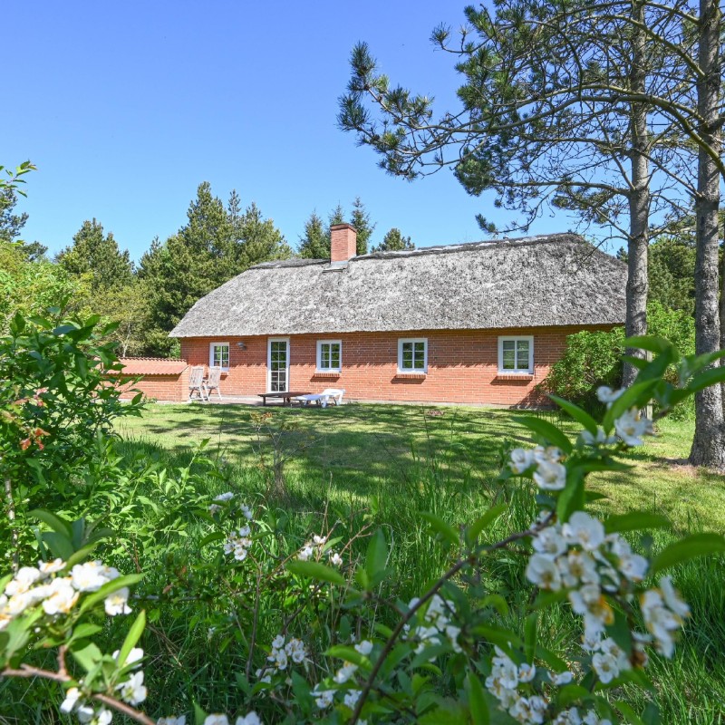 Ferienhaus - 6 Personen -  - Vester Mosevej - Vester Husby - 6990 - Ulfborg