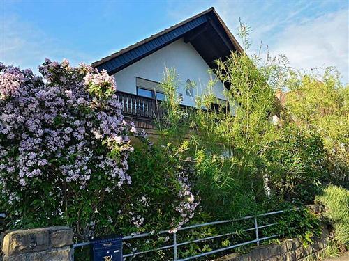 Ferielejlighed - 4 personer -  - Dr.-Siebenpfeiffer-Straße - 67434 - Neustadt An Der Weinstraß