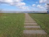 Image 24
