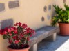 Image 4 - Outside