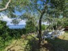 Image 9 - Outside