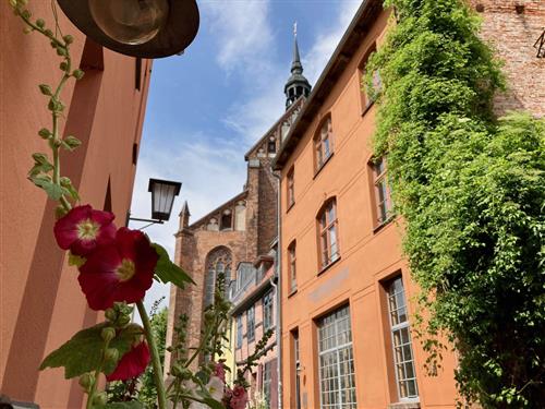 Ferielejlighed - 4 personer -  - Papenstr. - 18439 - Stralsund