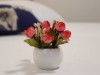 Billede 10