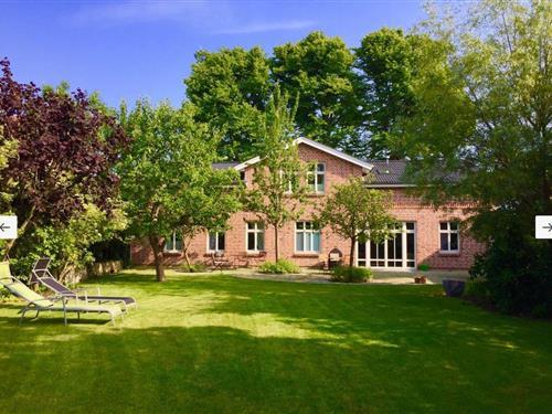 Feriehus - 15 personer -  - Am Dorfteich - 23769 - Kopendorf