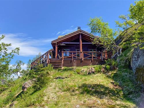 Feriehus - 8 personer -  - Farevassvegen - Ljosland/Åseral - 4540 - Åseral