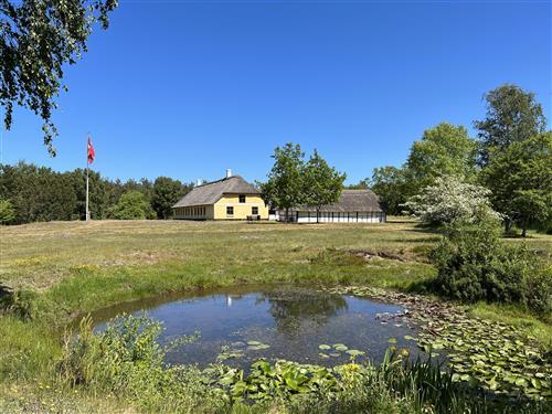 Ferienhaus - 8 Personen -  - Sdr. Skolevej - Vesterø Syd - 9940 - Läsö