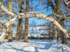 Bild 17 - Ude