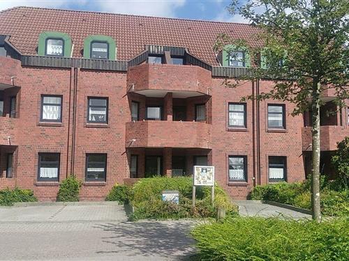 Feriehus / leilighet - 3 personer -  - Am Seestern - 26409 - Carolinensiel