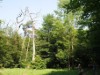 Bild 20