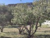 Bild 34 - Ude