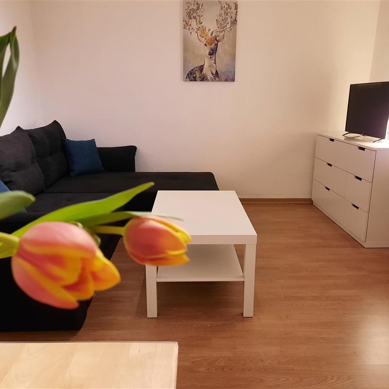 Ferielejlighed - 2 personer -  - Nelkenstraße - 48527 - Nordhorn