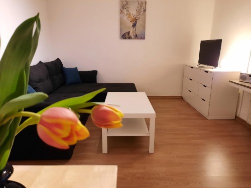 Ferielejlighed - 2 personer -  - Nelkenstraße - 48527 - Nordhorn