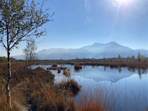 Ferielejlighed - 7 personer -  - Nickelbergstraße - 83355 - Grabenstätt