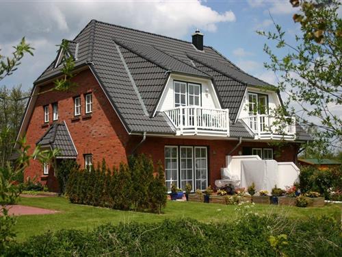 Ferienhaus - 2 Personen -  - Böhler Lnadstrasse - 25826 - St. Peter-Ording