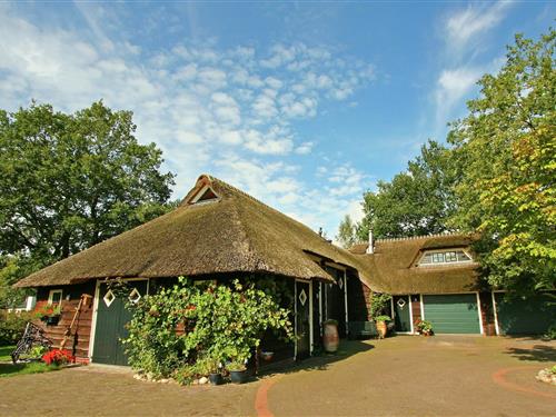Sommerhus - 8 personer -  - 7707RG - Balkbrug